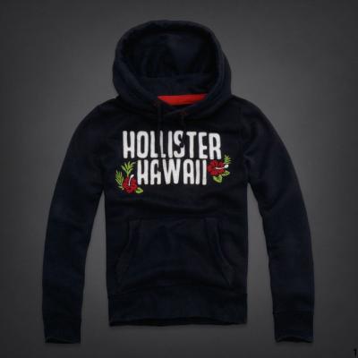 Cheap Hollister Men Hoodies wholesale No. 32